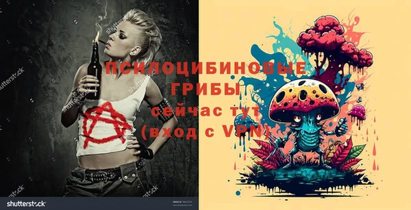 a pvp Арсеньев