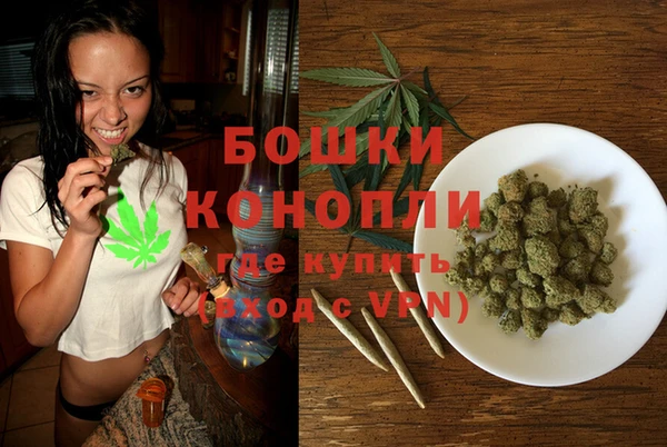 шишки Армянск
