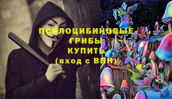 шишки Армянск